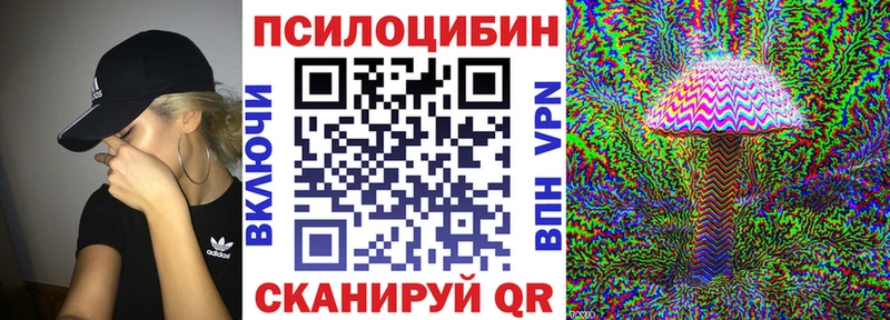 Псилоцибиновые грибы Psilocybine cubensis  Полевской 