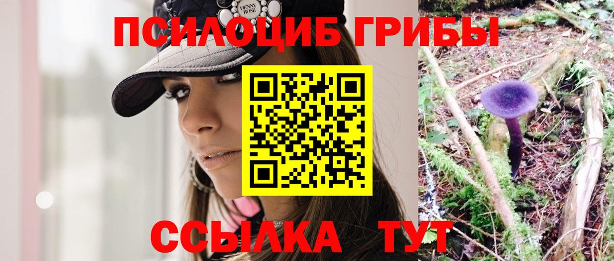 Псилоцибиновые грибы Psilocybe  Вход с VPN  Полевской 