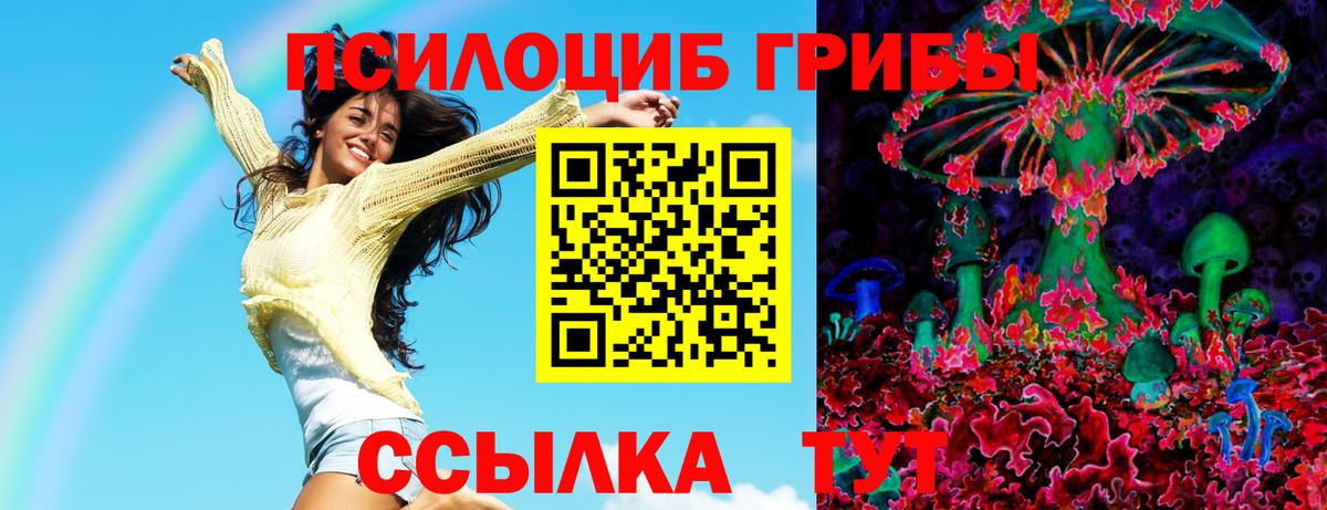 Псилоцибиновые грибы GOLDEN TEACHER Полевской